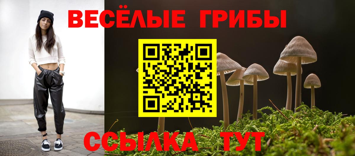Галлюциногенные грибы MAGIC MUSHROOMS  Галлюциногенные грибы GOLDEN TEACHER  Вход с VPN  Малоярославец 